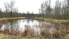 Vanaf morgen natuurbeheerswerken op Bovy