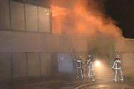 Brand treft voedingsbedrijf Damhert