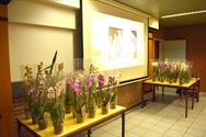 KWB viert Valentijn met een orchidee