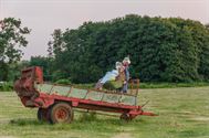 De zomer van de vogelverschrikker (2)