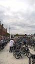 Fiets verovert stilaan de multiculturele markt