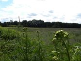 Wandelen in HZ: in het spoor van de Theux