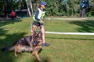 Duitse herders tonen zich van hun beste kant