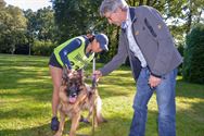 Duitse herders tonen zich van hun beste kant