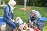 Honden krijgen eigen bar op foodtruckfestival