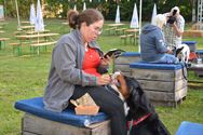 Honden krijgen eigen bar op foodtruckfestival