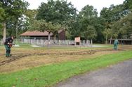 Leerlingen planten bloembollen op Bovy