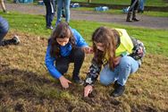 Leerlingen planten bloembollen op Bovy