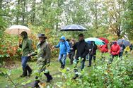 Moedige wandelaars niet bang voor de regen