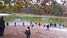 Kleuters gingen op verkenning in het herfstbos