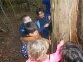 Kleuters gingen op verkenning in het herfstbos