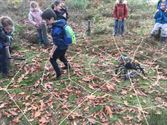 Kleuters gingen op verkenning in het herfstbos