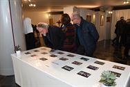 De Maricolen in beeld gebracht op expo