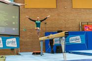 't Was genieten voor de gymnastiekfans