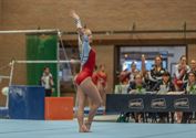 't Was genieten voor de gymnastiekfans