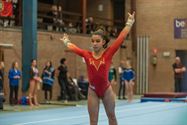 't Was genieten voor de gymnastiekfans