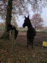 Wandelen in HZ: flaneren in 't Heusdens groen