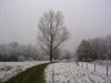 Het verschil tussen lente en winter