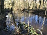 Het water in de Mangelbeek staat hoog