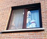 Knuffels veroveren ook de etalages