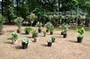 Fuchsiaflora 2010 is geopend