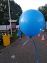 Beekbeemden neemt een bubbelstart