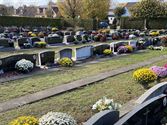 Bloemen op vele graven