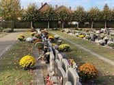 Bloemen op vele graven