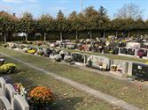 Bloemen op vele graven