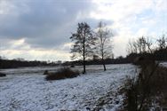 Winter in de Vallei van de Mangelbeek