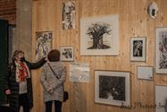 MeylandtArt is weer een heel diverse expo