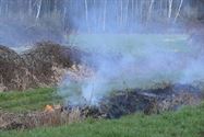 Brandje aan de Mangelbeek snel geblust