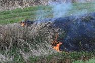 Brandje aan de Mangelbeek snel geblust