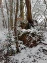 Een ondergesneeuwde ochtend in april