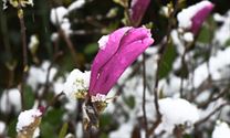 Zou dit nu de laatste winterprik geweest zijn?