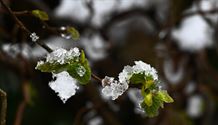 Zou dit nu de laatste winterprik geweest zijn?