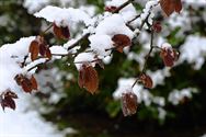 Zou dit nu de laatste winterprik geweest zijn?