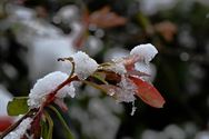 Zou dit nu de laatste winterprik geweest zijn?