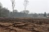 12.000 loofbomen geleverd op Bovy