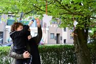 Heusden-Zolder heeft nu een Tuttenboom