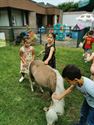 Mobiele boerderij bezocht Beekbeemden