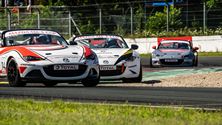 Circuit kende nog eens een drukke dag