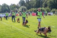 Honden en hun baasjes tonen hun kunnen