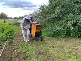 Bijen van Liesbeth krijgen asiel bij dorpstuintjes