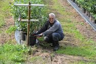 Veel interesse voor aardbei- en blauwbessenteelt