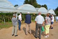 Veel interesse voor aardbei- en blauwbessenteelt