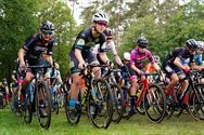 Bijna 200 veldrijders vandaag in Eversel