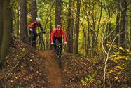 Veel mountainbikers aan De Veen