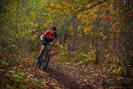 Veel mountainbikers aan De Veen