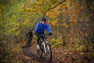 Veel mountainbikers aan De Veen